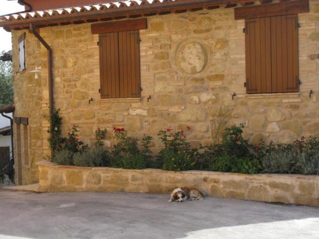 Pietra Maula Agriturismo Castelraimondo Exterior foto