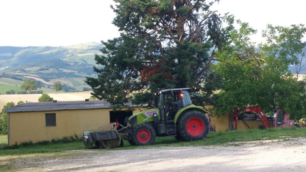 Pietra Maula Agriturismo Castelraimondo Exterior foto